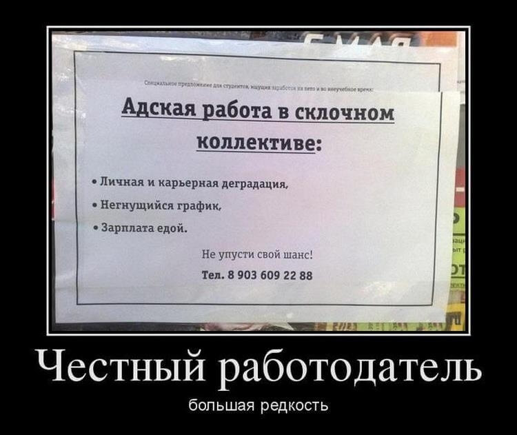 демотиватор прием на работу можно сделать трафарету