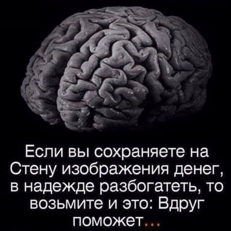 Мозг картинки с надписями