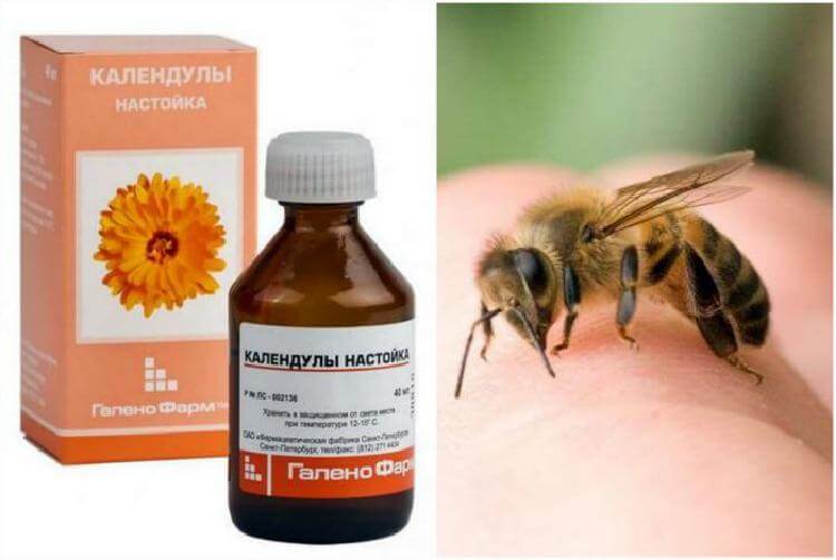 Народные средства при укусе насекомых. Настойка от укусов насекомых. От укуса пчелы препарат. Средства от укусов пчел и ОС.