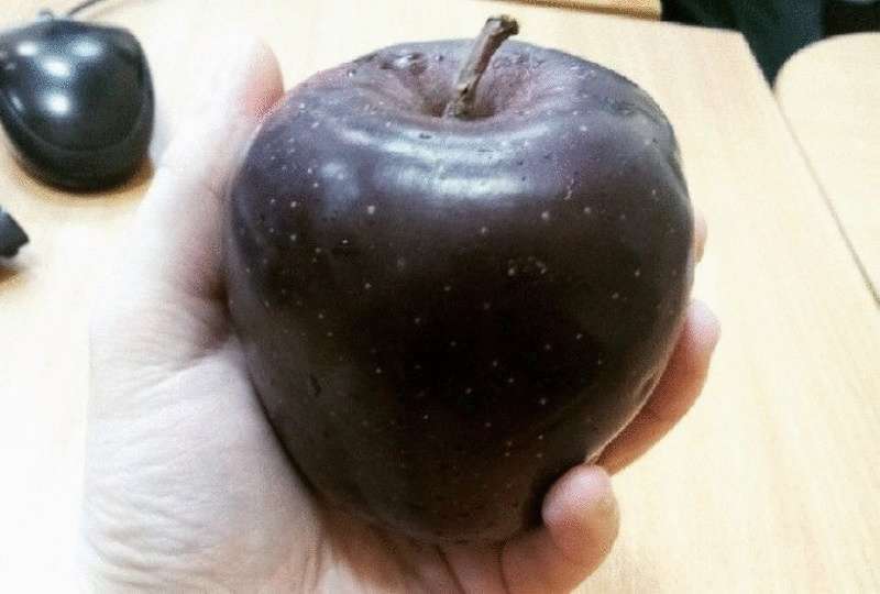 Сорта черных яблок